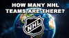 How many NHL Teams are There? The Best Hockey Team Info Guide